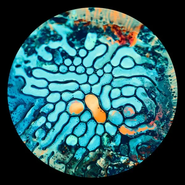 VA – Soles Series Vol. 4