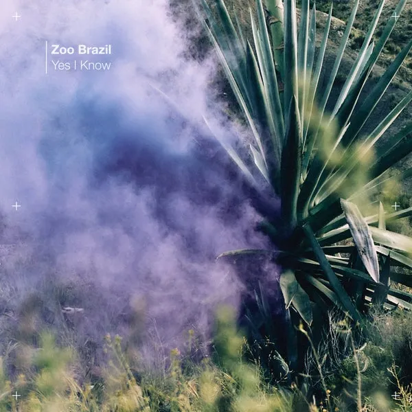 Zoo Brazil – Yes I Know cover