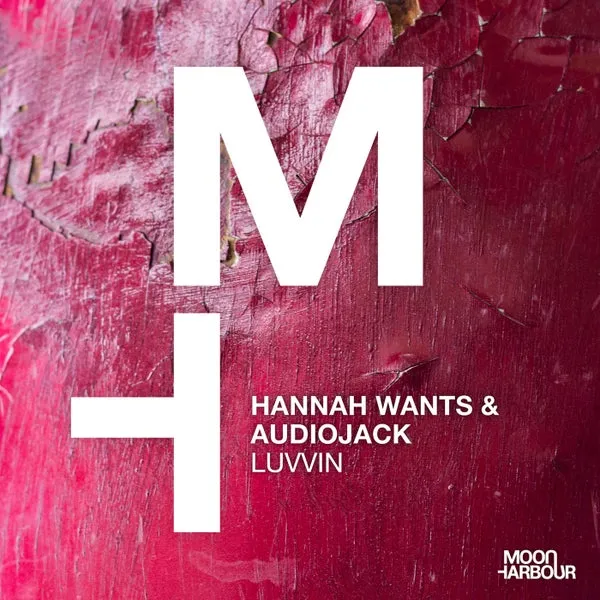 Audiojack, Hannah Wants – Luvvin cover