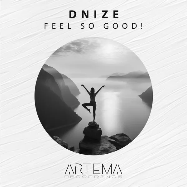 Dnize – Feel So Good! cover