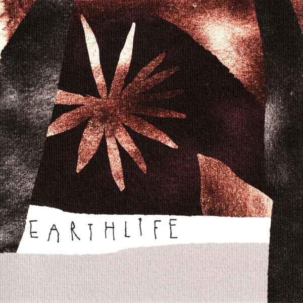 EarthLife, TOMMY WAX – For The Fucking Crowd cover