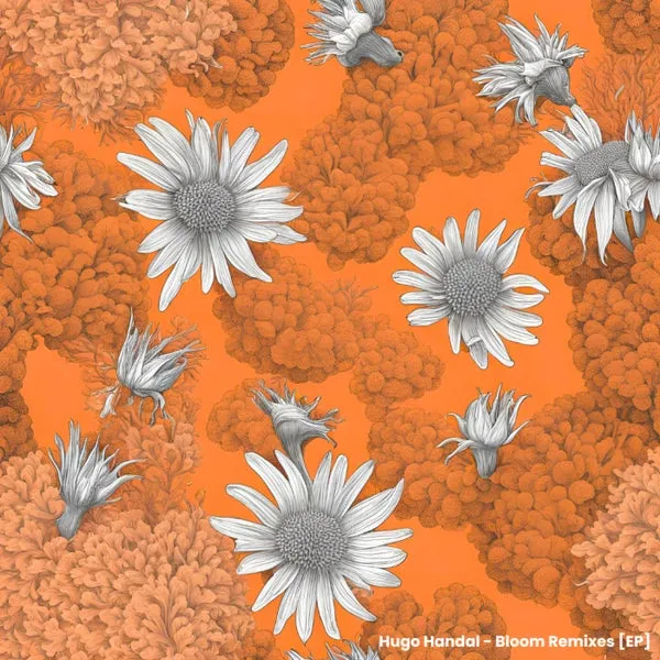 Hugo Handal – Bloom Remixes EP cover