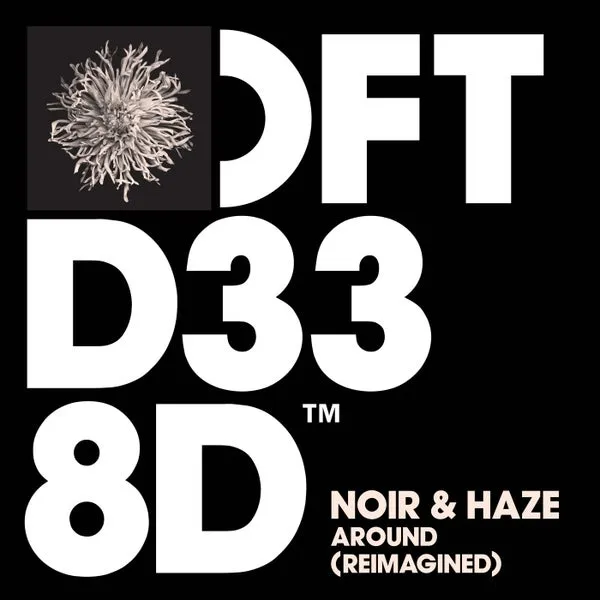 Noir, Haze – Around – Reimagined Extended Mix cover