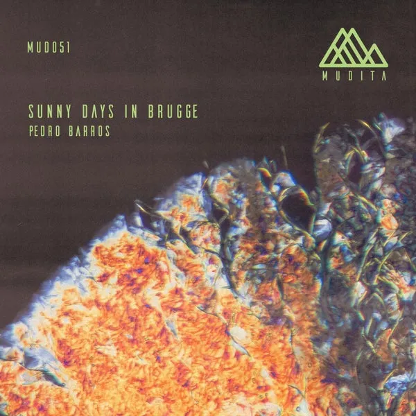 Pedro Barros – Sunny Days in Brugge cover