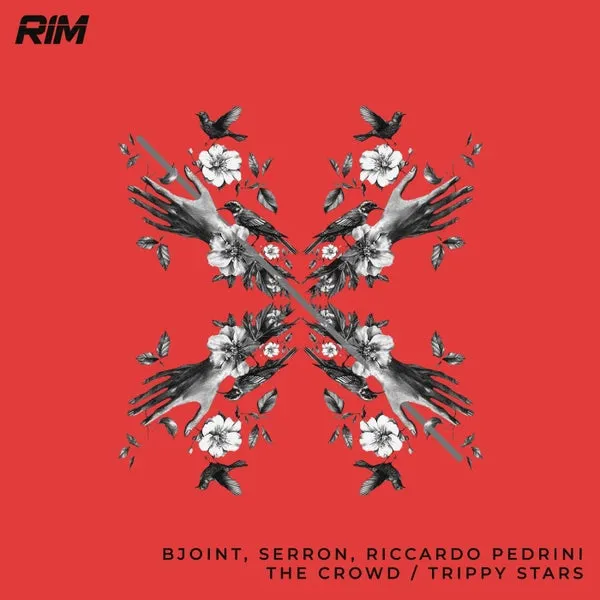 Serr-On, Bjoint, Riccardo Pedrini – The Crowd Trippy Stars cover