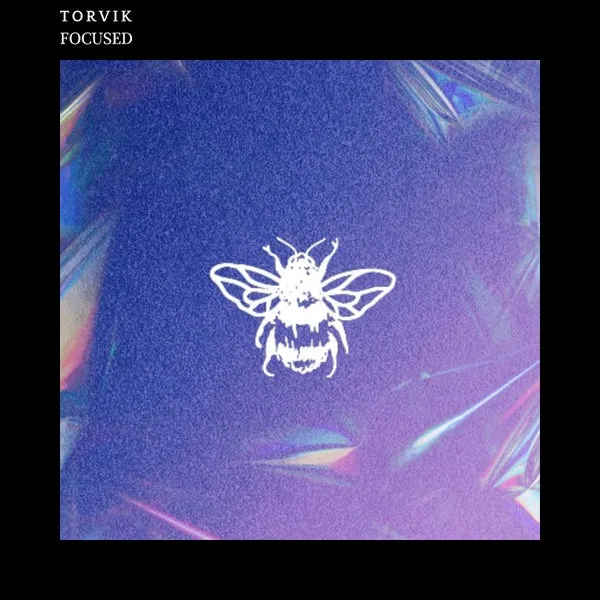 TORVIK – Focused cover