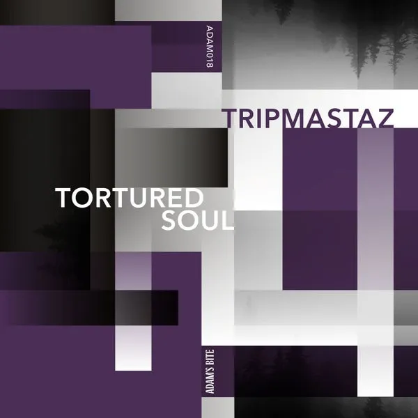 Tripmastaz – Tortured Soul cover