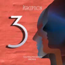 VA - Countless Perceptions 3 [Perception 知覺]
