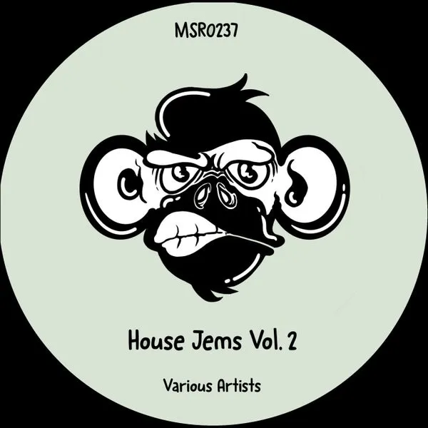 VA – House Jems Vol. 2 cover