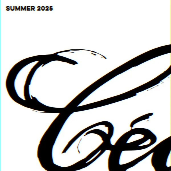 VA – Summer 2025 cover