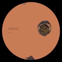 VA - Summer VA 2025 [Psicodelica]
