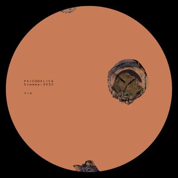 VA – Summer VA 2025 cover