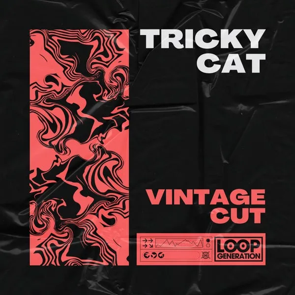 Vintage Cut – Tricky Cat cover