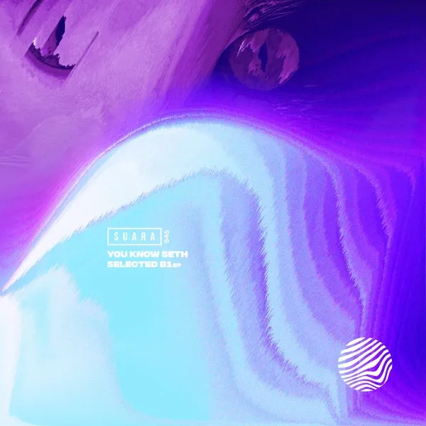 You Know Seth – Selected B1 EP cover