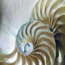 AMAYLIA - Amaylia043 [Amaylia Records]