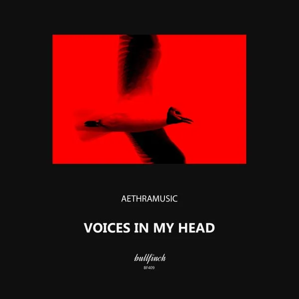 Aethramusic – Voices in My Head cover