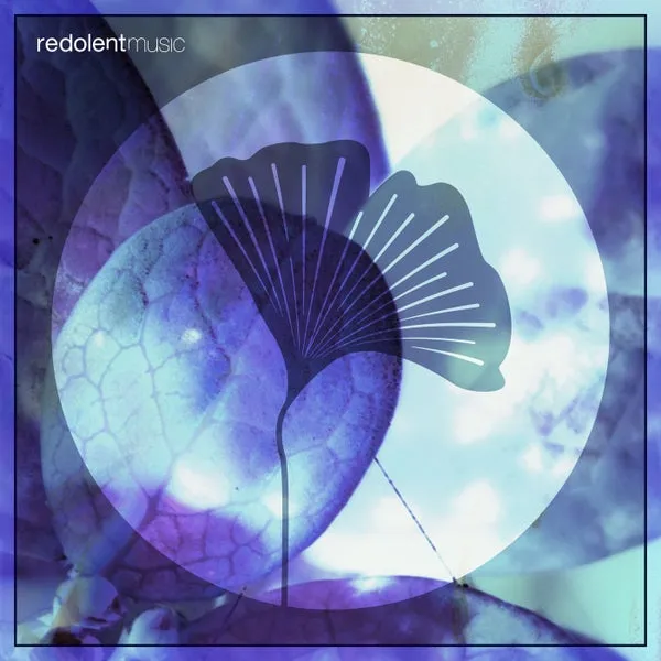 Bebbo – Botanica cover