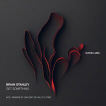 Brian Stanley - Get Something [Dushe Label]