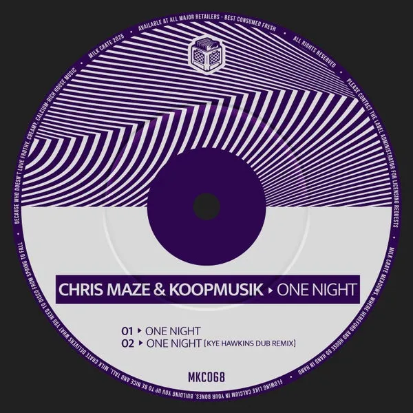 Chris Maze, Koopmusik – One Night cover
