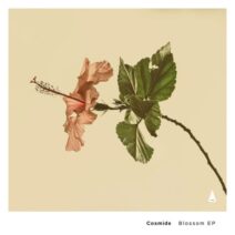 Cosmide, Pheek, Djima - Blossom [Archipel Musique]