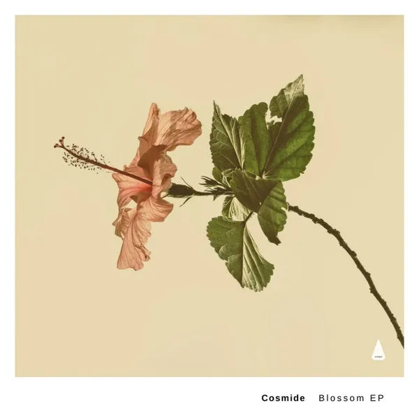 Cosmide, Pheek, Djima – Blossom cover