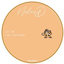 DJ On, Gio Colonna - Flavor Group EP [Nuloud]