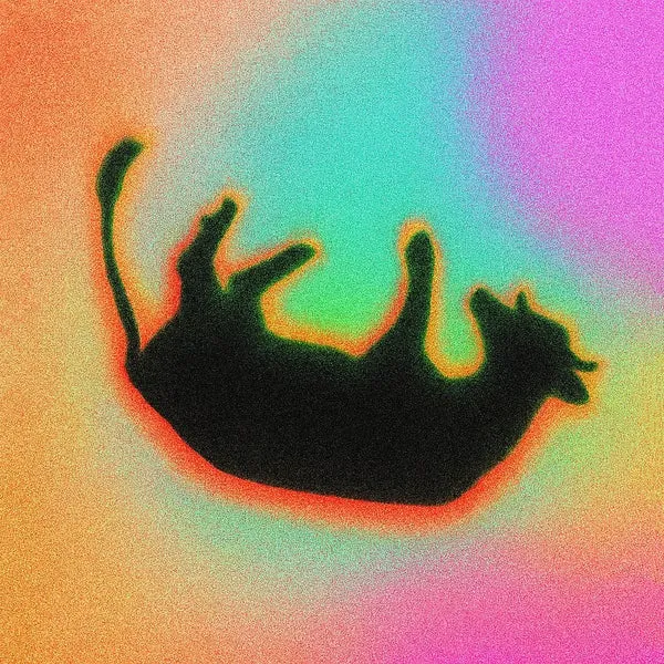 Facundo Losardo, Agustín Ficarra – Shuuk