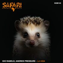Gio Rabelo, Andre Pressure - La Vida [Safari Groove Music]