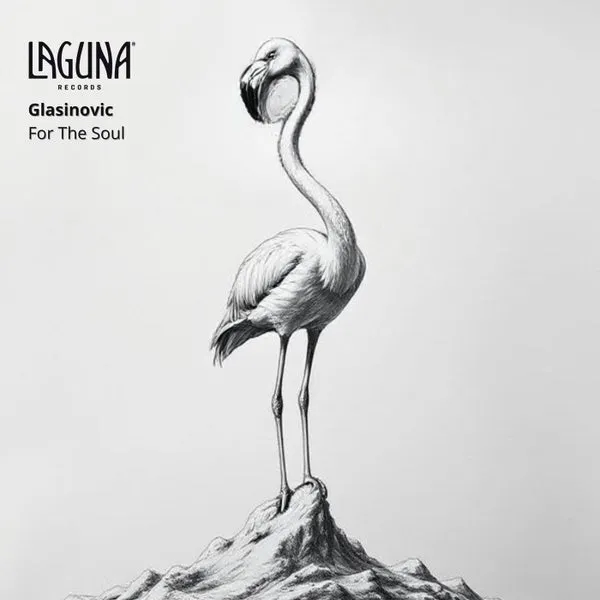 Glasinovic – For the Soul cover