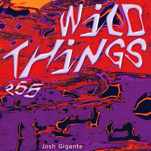 Josh Gigante, Tom Zeta – Wild Things EP cover