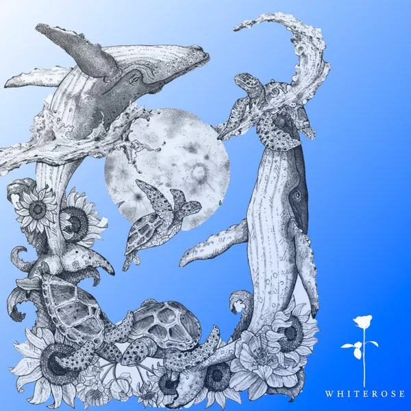 Konstantin Kobra – Rabbit Hole