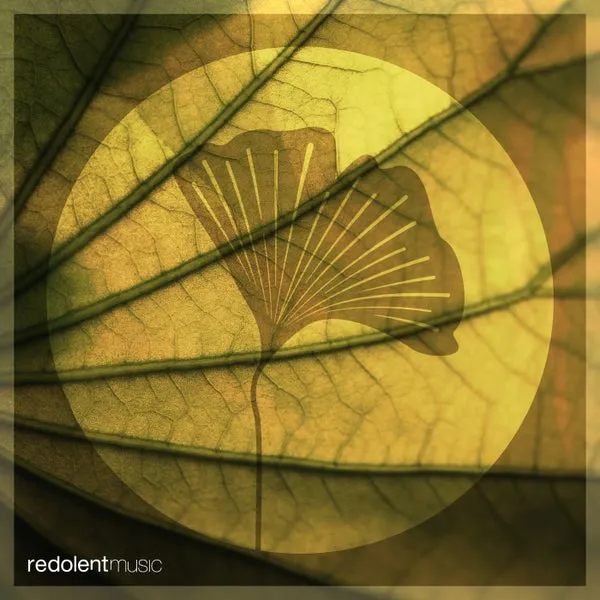 Marco Dily, Aminu – Teardrop (Stevie Keys Remix) cover