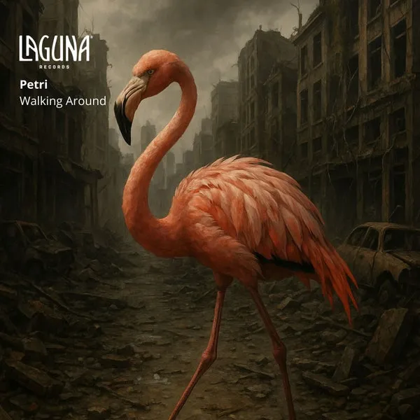 Petri – Walking Around cover
