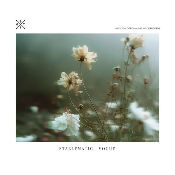 Stablematic – Vogue cover