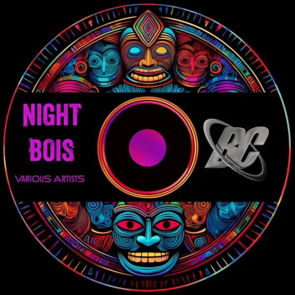 VA – NIGHT BOIS cover