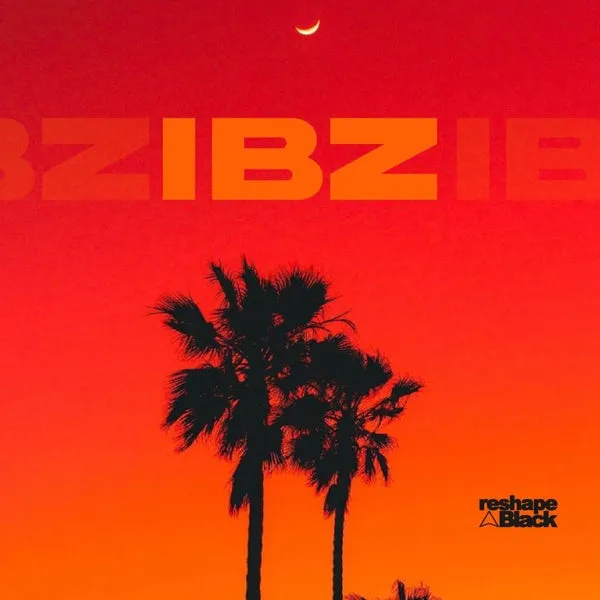 VA – RESHAPE BLACK IBZ cover