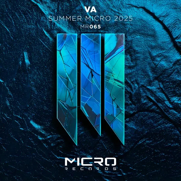 VA – VA Summer 2025 cover