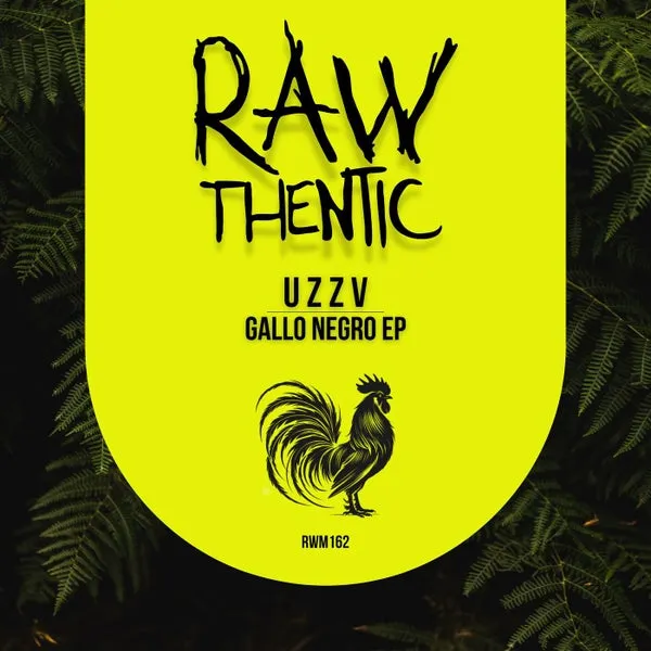 u z z v, P4 – Gallo Negro EP cover