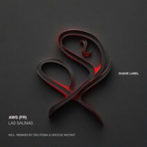 AWS (Fr) - Las salinas [Dushe Label]