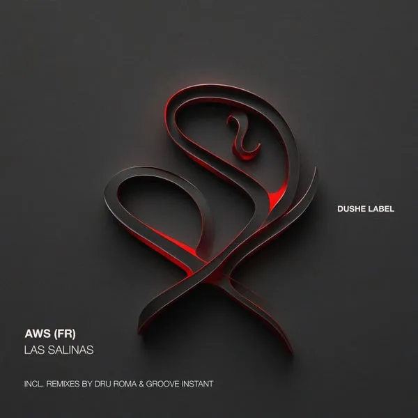 AWS (Fr) – Las salinas cover