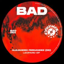 Alejandro Fernandez (ES) - Leopard EP [BienAimer Music]