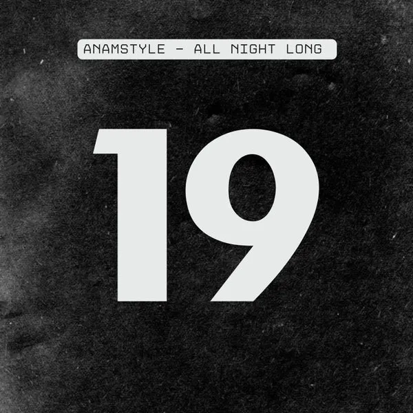 AnAmStyle – All Night Long cover
