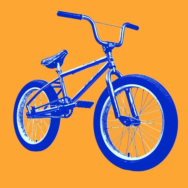 Bizzarro Universe – Planetary Groove