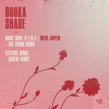 Booka Shade, Joplyn - Right Now (P.I.N. 4) Electric Birds [Blaufield Music]