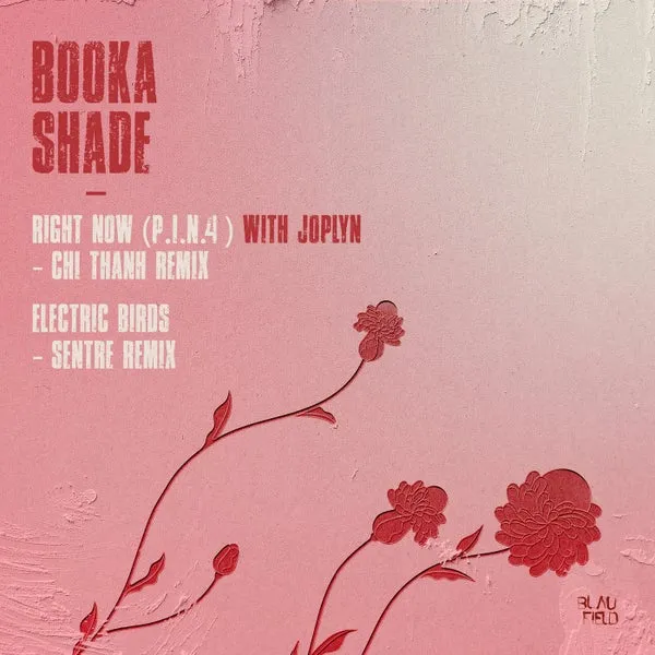 Booka Shade, Joplyn – Right Now (P.I.N. 4) Electric Birds cover