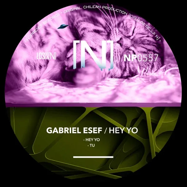 Gabriel Esef – Hey Yo cover