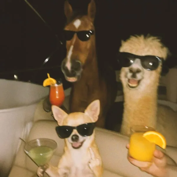 JayCamel – No Podemos Dormir!