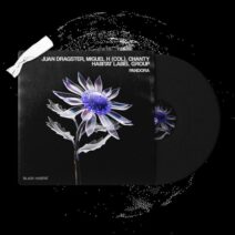 Juan Dragster, Miguel H (Col) - Pandora [Black Habitat]