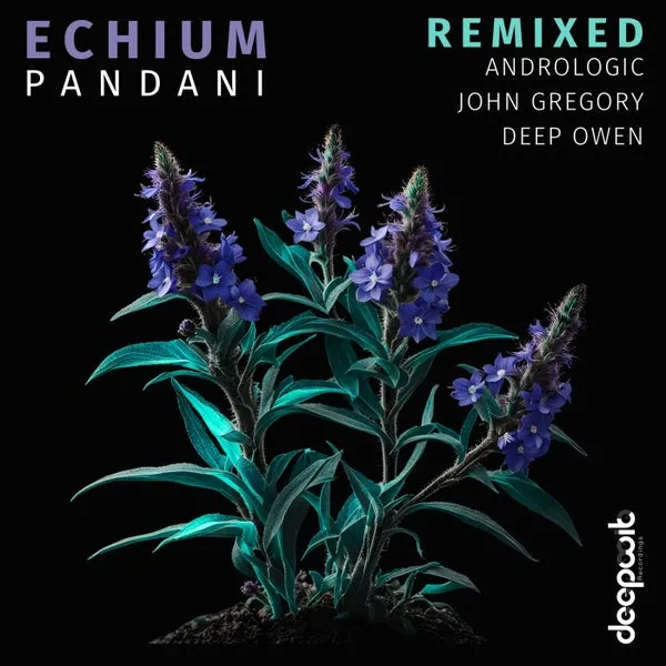 Pandani – Echium Remixed cover