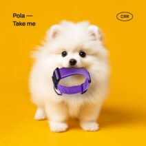 Pola - Take Me [Chuvstvo Ritma Rec.]